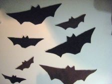 got the brown bats done last night