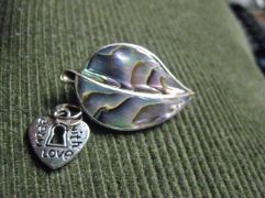 this lovely abalone & nickel silver pin came all the way from the Midlands, along with the cute dangle